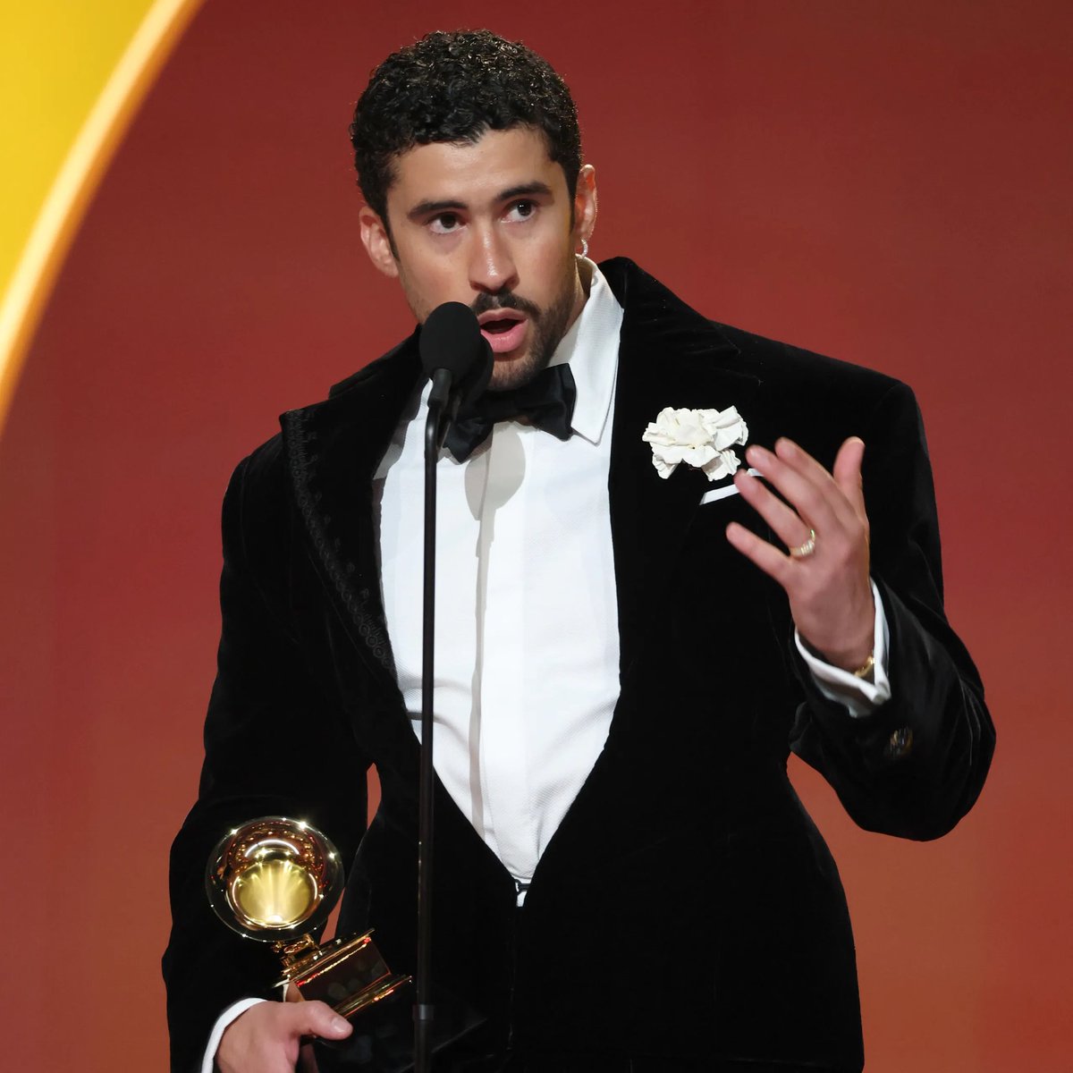 Most women, white women included, know who this guy is. Younger women especially consume his music nonstop. It’s blasted in clubs everywhere and is nearly impossible to avoid across social media, with X being one of the few exceptions.

He’s Latino excellence ngl.