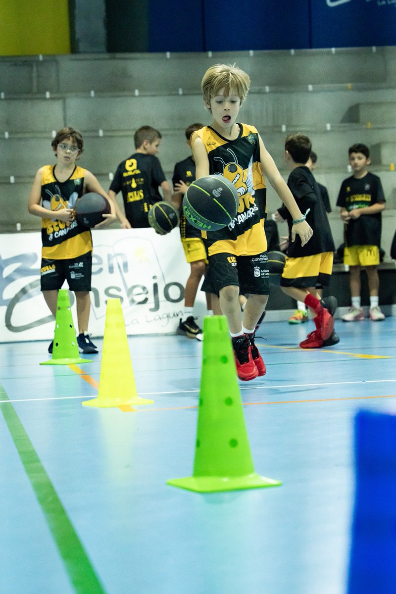 BASE | Este martes arrancan los entrenamientos de captación para los premini masculino y femenino del curso 2026/27

📍 Colegio <a href="/buenconsejoll/">Buen Consejo La Laguna</a> | 18.00-19.00 h.c.
🏀 Generaciones 2016-17-18

➡️ Las sesiones se celebrarán todos los martes y podrán participar niños/as de las