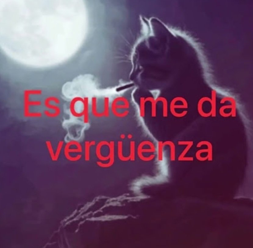 mi respuesta para todo