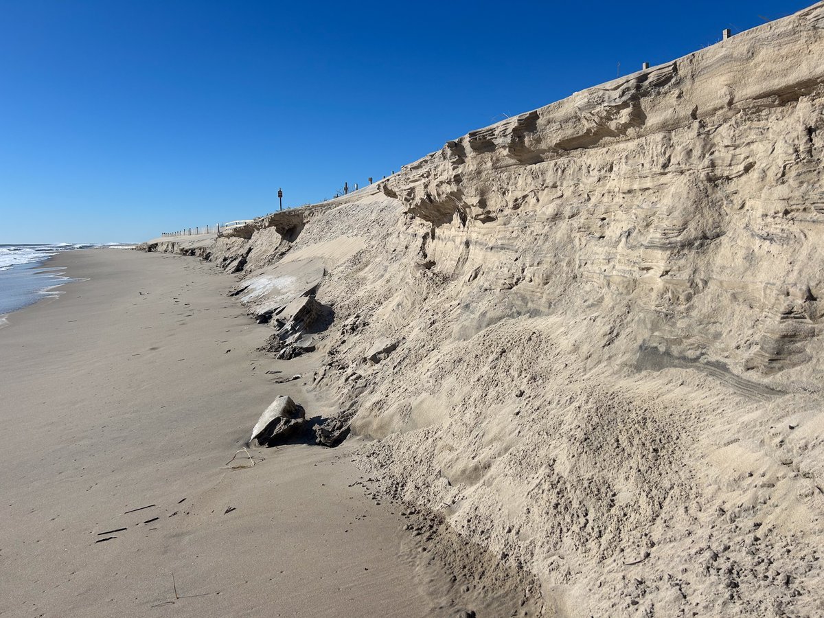 Maryland DNR tweet media