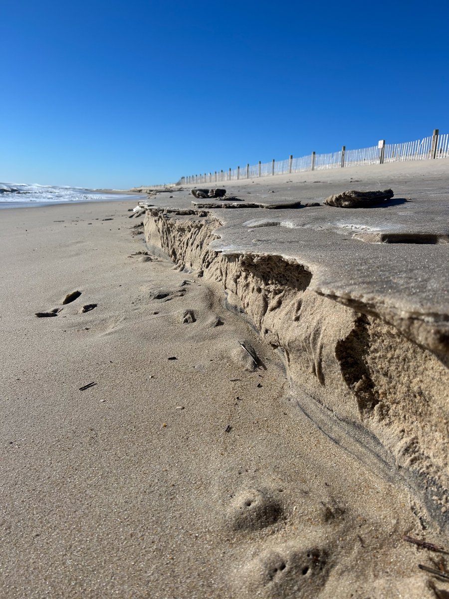 Maryland DNR tweet media