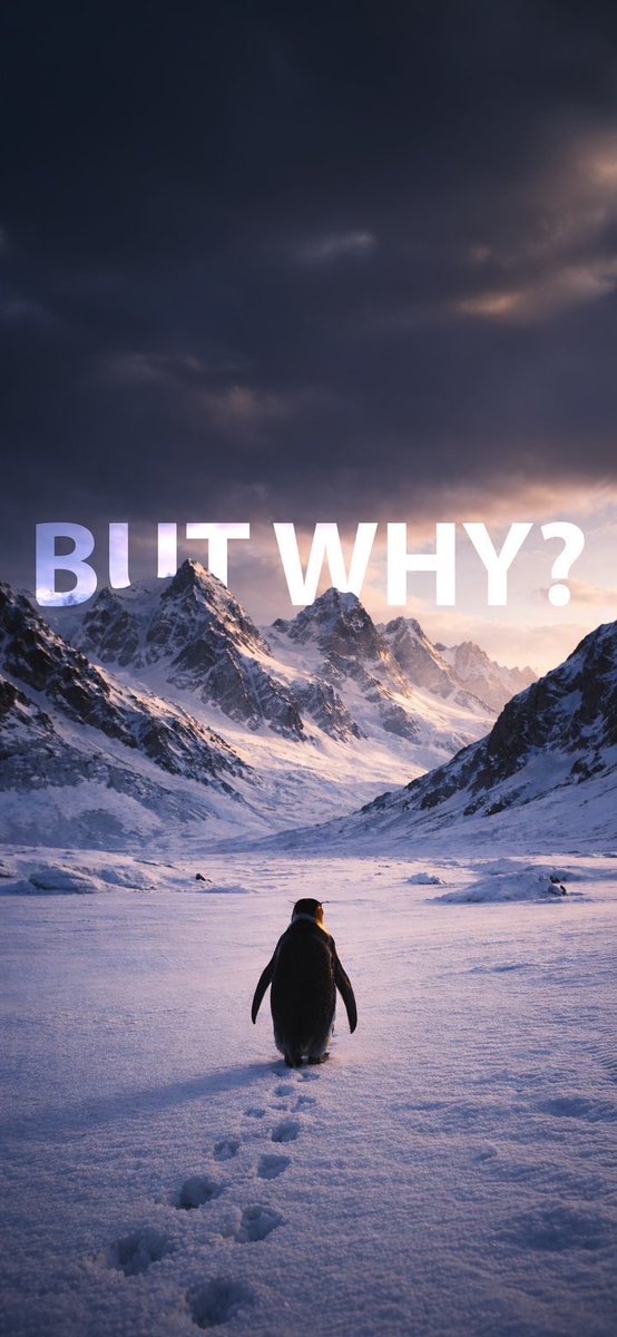 Marc サンプソン tweet media