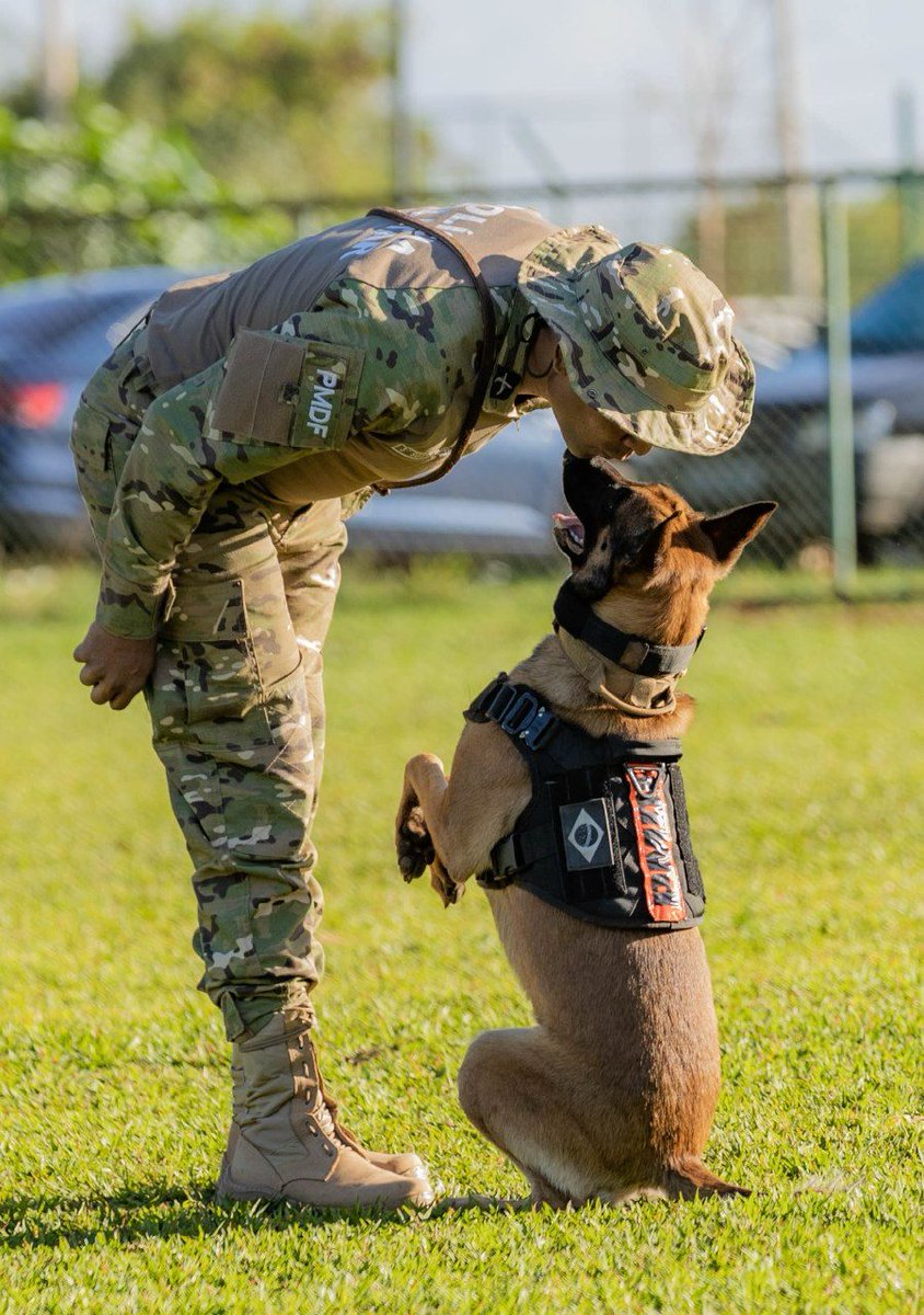 pmdfoficial's tweet image. ⚠️#PMDFINFORMA | Crueldade contra animais é crime!

Somente em janeiro, 23 ocorrências de maus-tratos foram atendidas pela PMDF.
👮‍♂️ Ligue 190, denuncie e ajude a proteger quem não pode se defender.

#PMDF #ContraMausTratos #ProteçãoAnimal #ProtejaOsAnimais #JustiçaParaAnimais