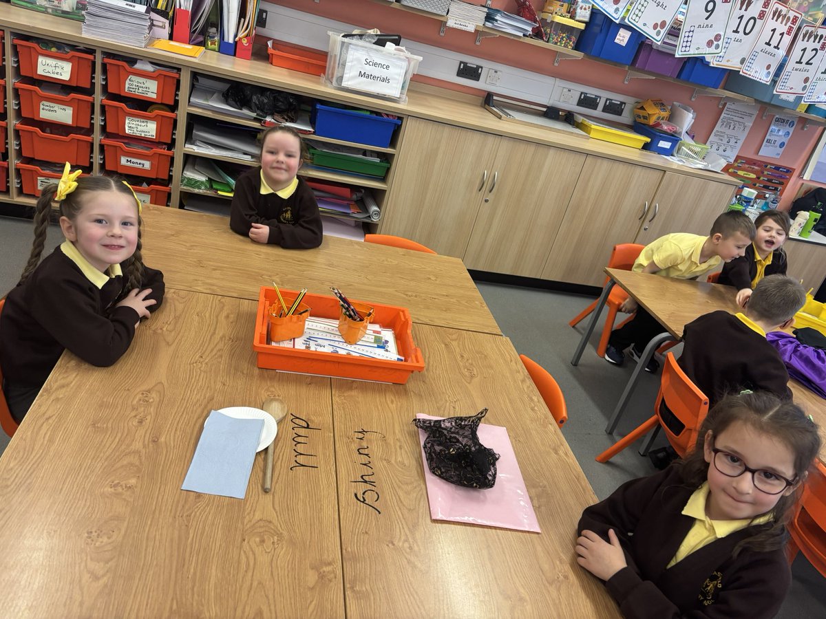 EastfieldPSHull's tweet image. 1SL exploring and sorting shiny and dull objects in our science lesson today ✨☁️ #epsscience