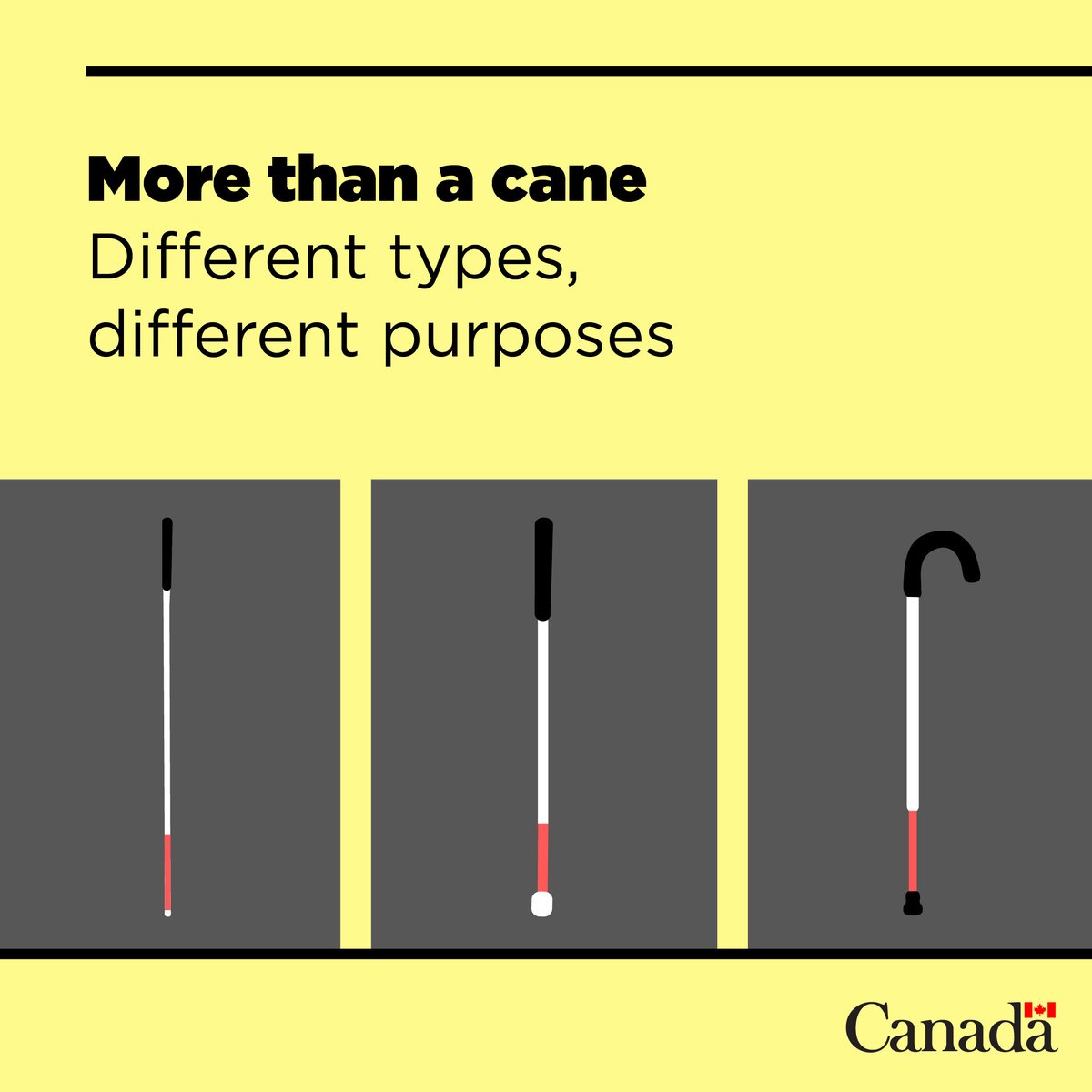 Accessible Canada tweet media