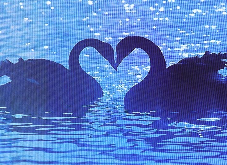 (غياب)سامحوني✨ 𝓐𝓵𝔃𝓪𝓲𝓷 ❥⇣ tweet media