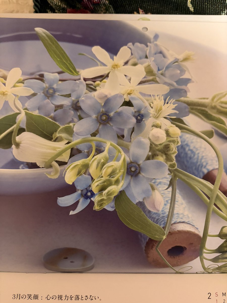 <a href="/takeshima_staff/">竹島宏 Hiroshi Takeshima【公式】</a> 宏くん❤️遅くまでお疲れ様*´ㅅ`)"
＂カーネーション＂
花言葉は〜「感動」
宏くんのファンになって10年目ですが❣️
いつも感動のステージ😭✨で
夢の世界です。
宏くん♡ありがとう😆

今日は〜節分、youtube生配信
楽しみです🎶
恵方巻き用意してお待ちしてます🌟
 #竹島宏
 #薔薇のしずく🌹✨
 #節分