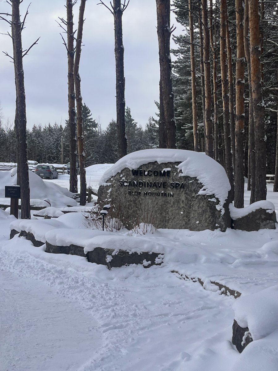 StrategyCorp tweet media