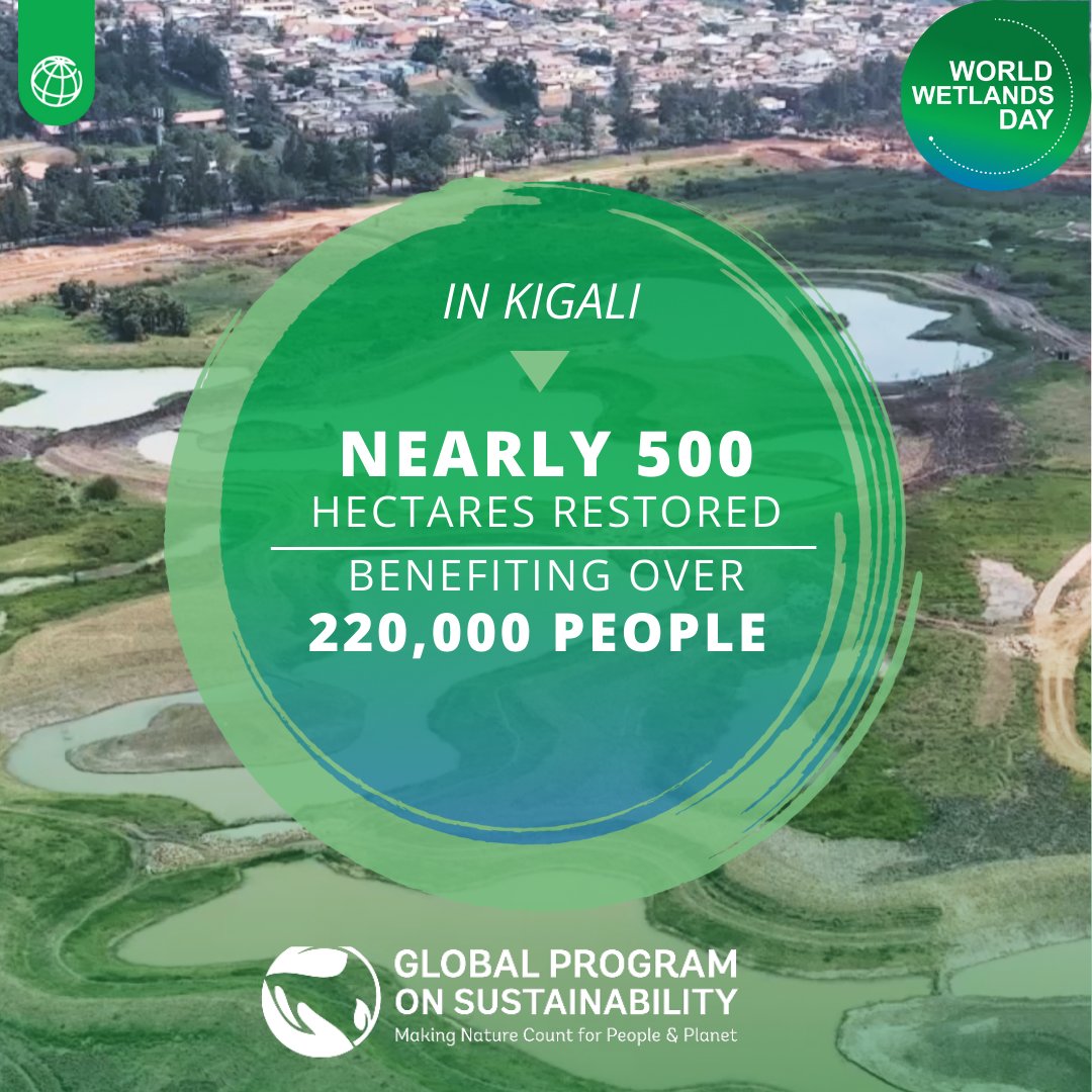 Global Environment Facility (GEF) tweet media