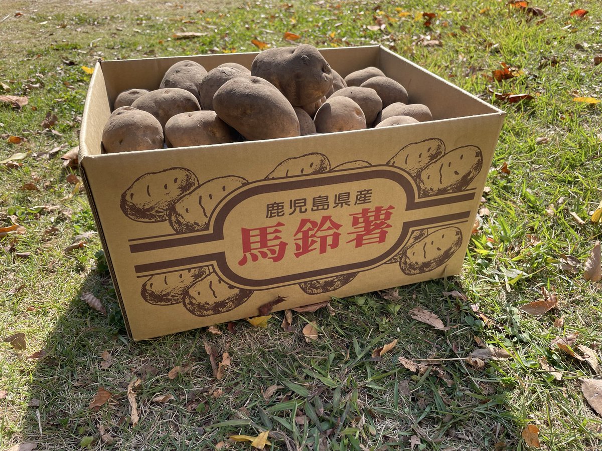 NankoFarm's tweet photo. 農事組合法人南光農園プレゼント企画🎁

新じゃが　※2Sサイズ　1口サイズのじゃがいもになります
3kg 【1箱】を抽選で3名様にプレゼント
※応募方法
①＠nankofarmをフォロー
②このtweetを引用RT

締め切り　2月5日PM9時まで
#じゃがいも #プレゼント #キャンペーン
#懸賞 #有機栽培 #オーガニック https://t.co/3anFKz9eX4