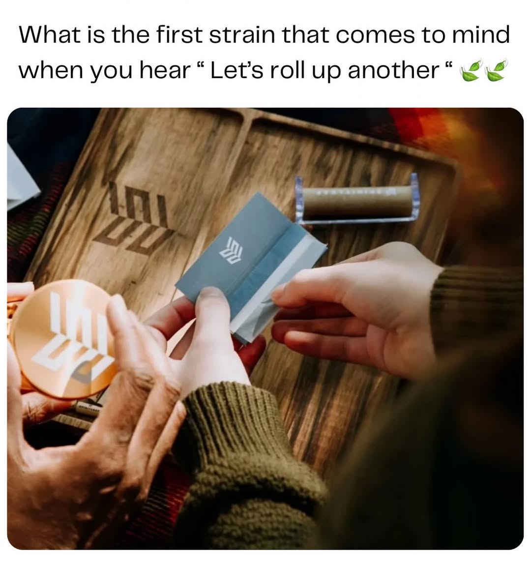 SpiritleafS's tweet image. they always got the most wild names for strains these days...

...which is your go-to? #weedtwt #weedplug #Canada