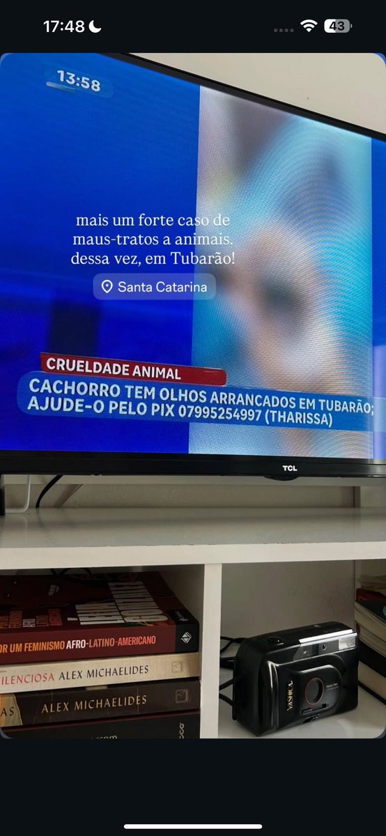 kaarolzx's tweet photo. O que tá acontecendo com Santa Catarina? Ontem um cão teve seus olhos ARRANCADOS em tubarão - Santa Catarina. Doem no pix eles: 07995254997 (Tharissa) essa chave foi divulgada no jornal e você pode acompanhar mais detalhes no perfil do print. Deem rt pra ajudar! https://t.co/3CeqmBkrOA