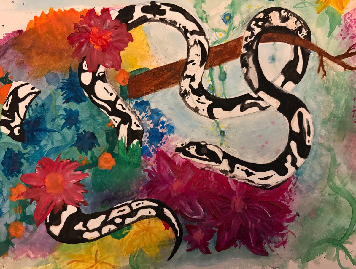 Moonsky & stars tweet media