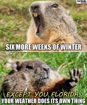 soldbysarahm's tweet image. Six more weeks of winter can be avoided by moving to a warmer climate! DM me if you’re interested in moving anywhere within the U.S., and I’ll help you access the right resources and connect you with top-performing agents.

#ByeWinter #WarmWeatherLiving #RelocationGoals