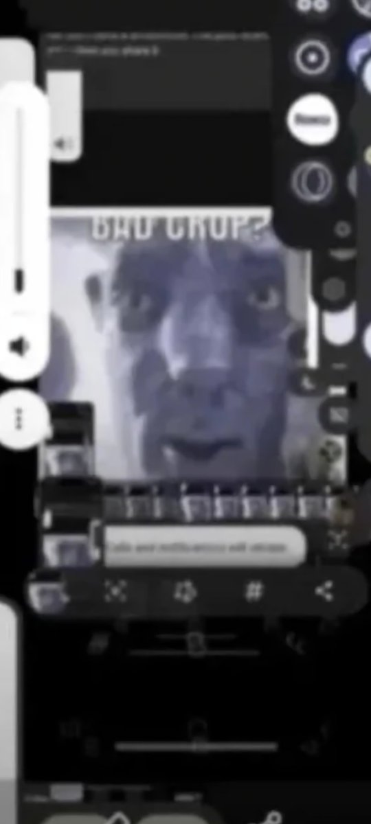 Mr. Moose tweet media