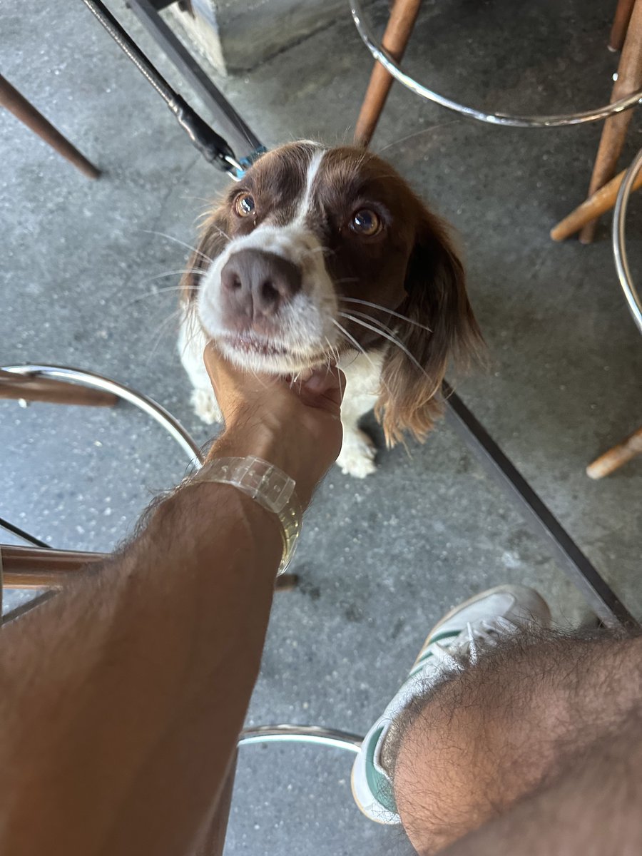 Emmanuel B. Harel (🐶/acc) tweet media