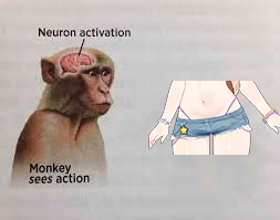 En Wan Shelter amamos la pancita