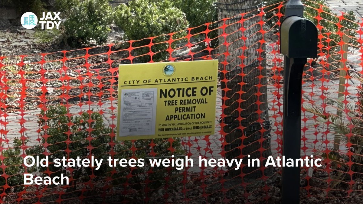 Jacksonville Today tweet media