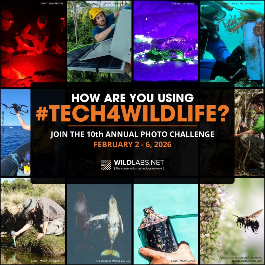 ¡Comparte tus fotos y videos! Convocan a la décima edición del concurso #Tech4Wildlife, enfocado en tecnología y conservación en Latinoamérica ‼️

¡Lee todos los detalles de esta convocatoria, aquí!👇
ow.ly/C4xm50Y7LEH