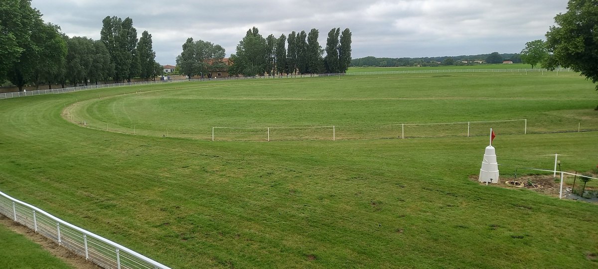 Patrick Weaver tweet media