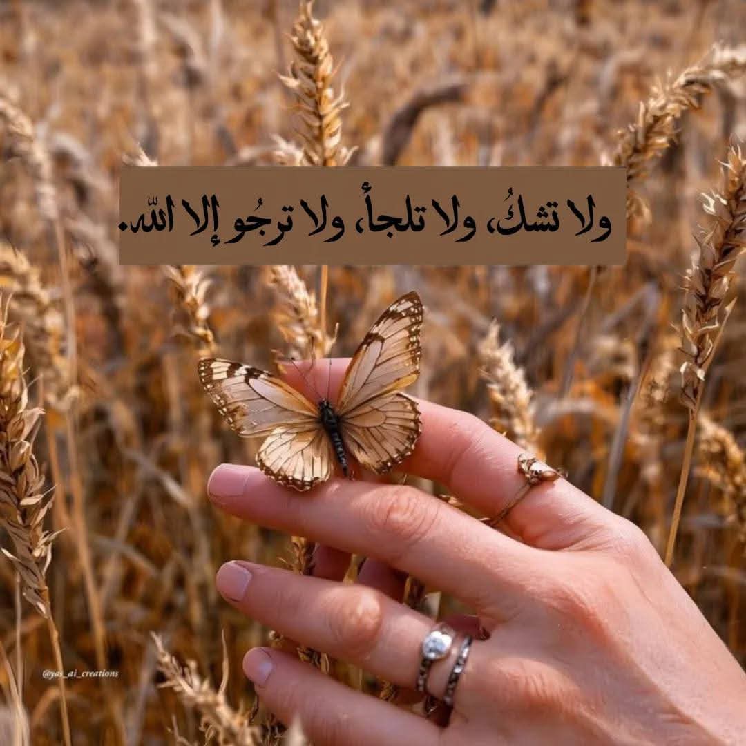 فريده (@rwdhm42588) on Twitter photo 