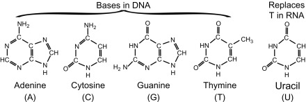 SBURB Anonymous tweet media