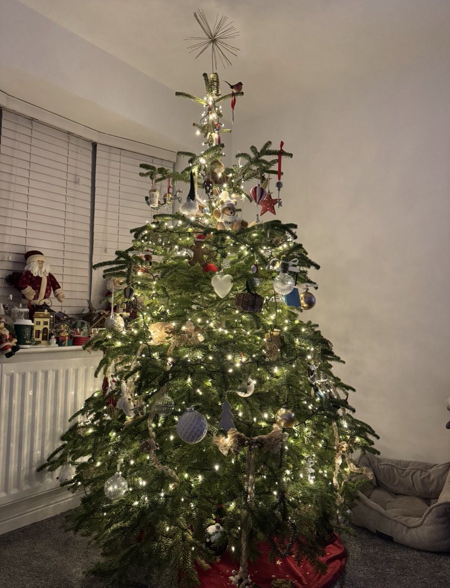 Daniel Kerley tweet media