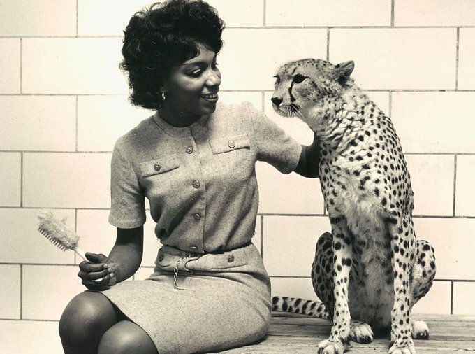 AFRICAN & BLACK HISTORY tweet media