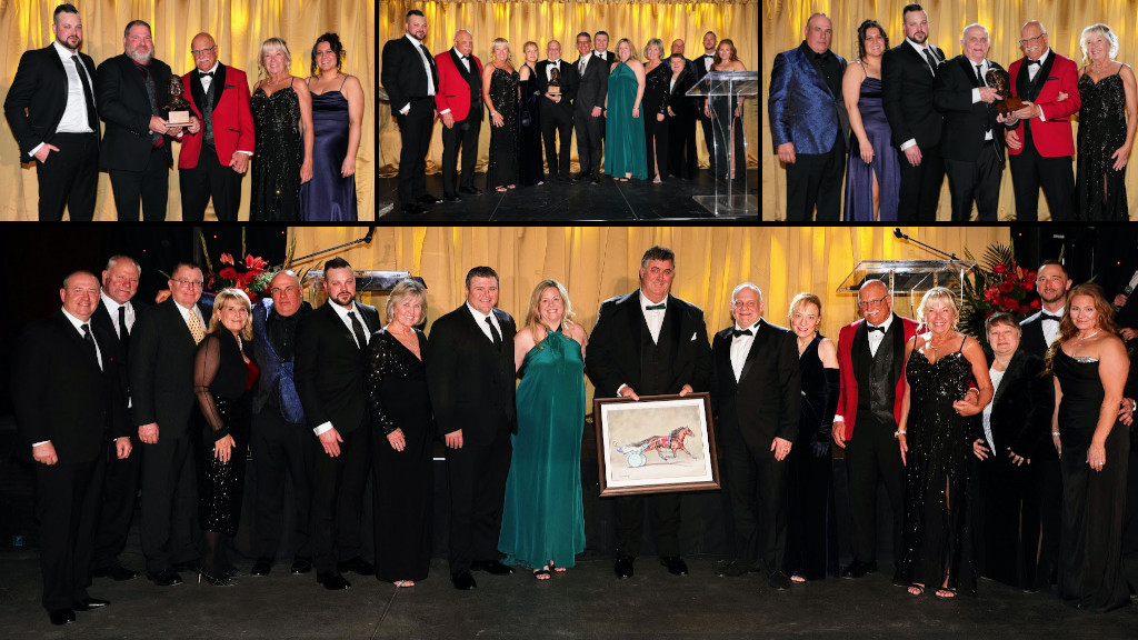 The Doctor Never Stops Learning standardbredcanada.ca/news/2-2-26/do…