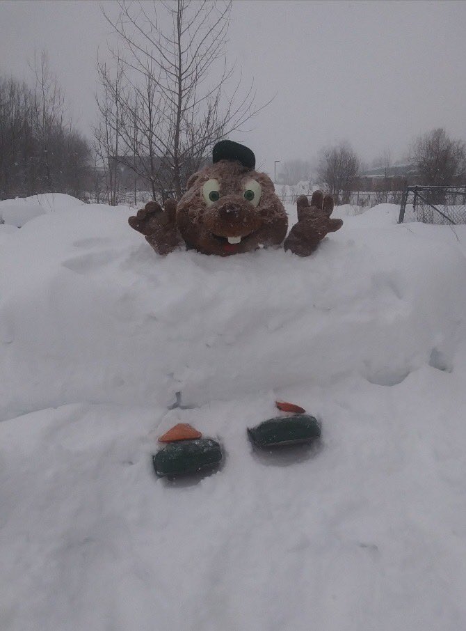 Vermont Mountaineers tweet media