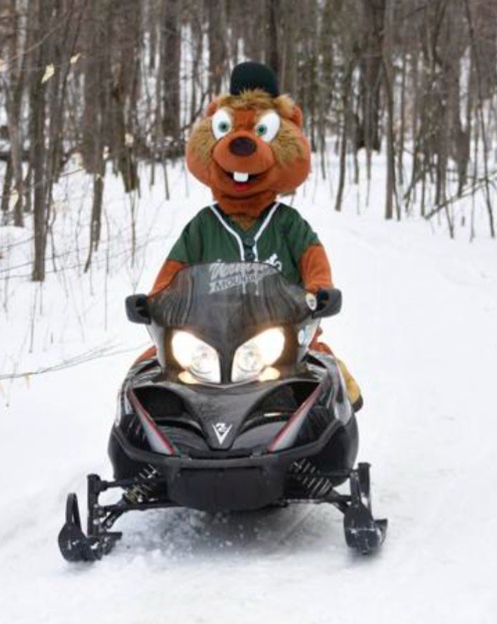 Vermont Mountaineers tweet media