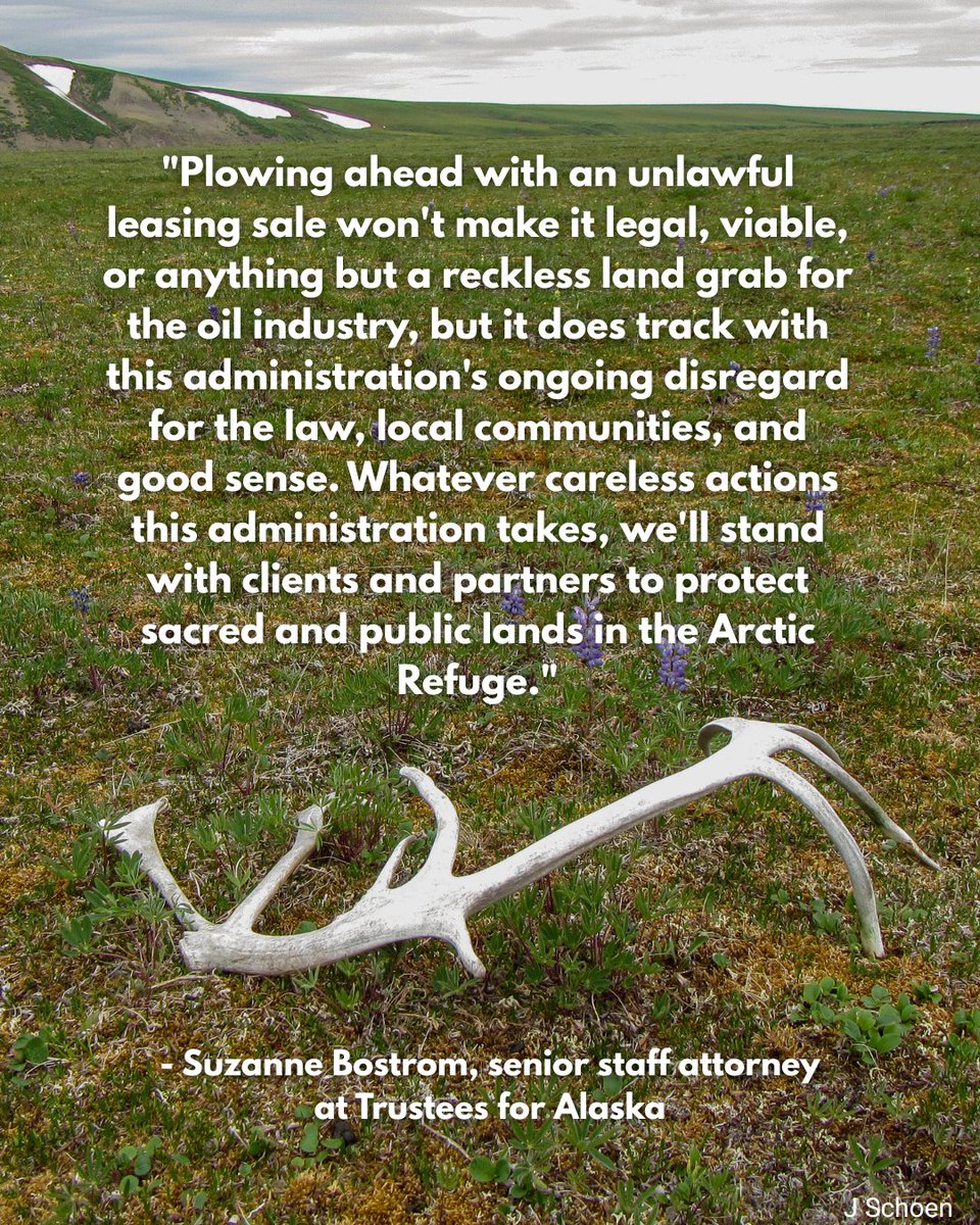BLM just took the first step toward leasing the Arctic Refuge’s Coastal Plain on sacred Gwich’in land. 
Stand with the Gwich’in. Tell companies to stay away. #ProtectTheArctic

Check out GSC's statement: gwichinsteering.org/feb-2-2026/
