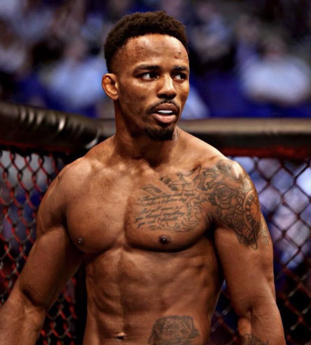 Chicken King MMA tweet media