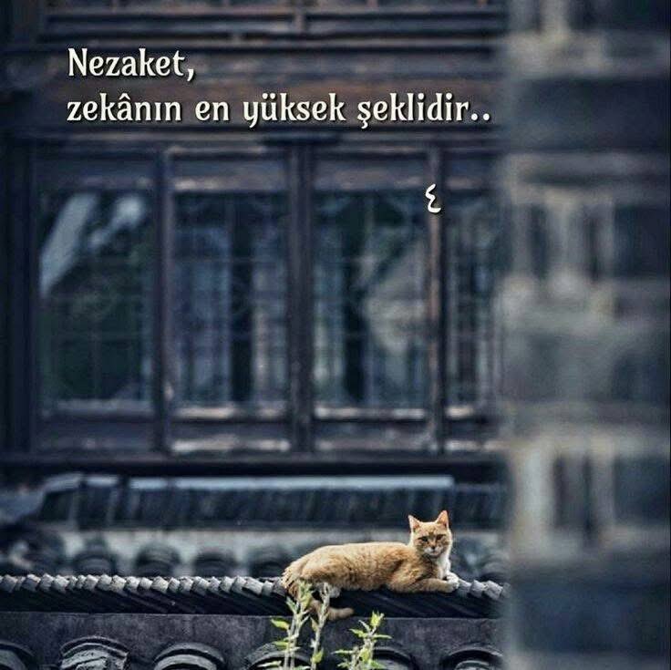 ibram (@ibram4949) on Twitter photo 