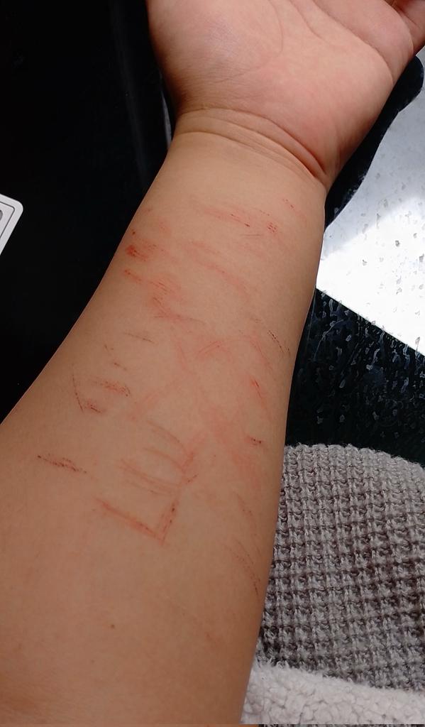 Chammy🏳️‍⚧️🔞Comss open. tweet media