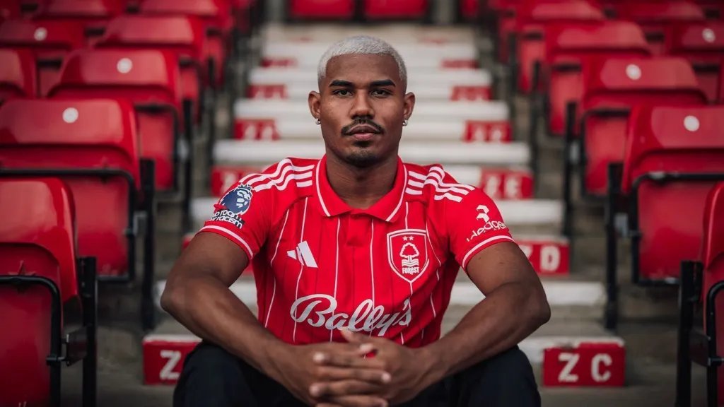 Forest Transfer Hub tweet media