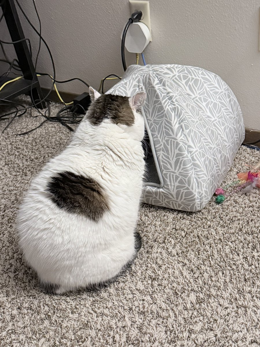 She sits there contemplating on if she wants to go into the tent of comfort or not