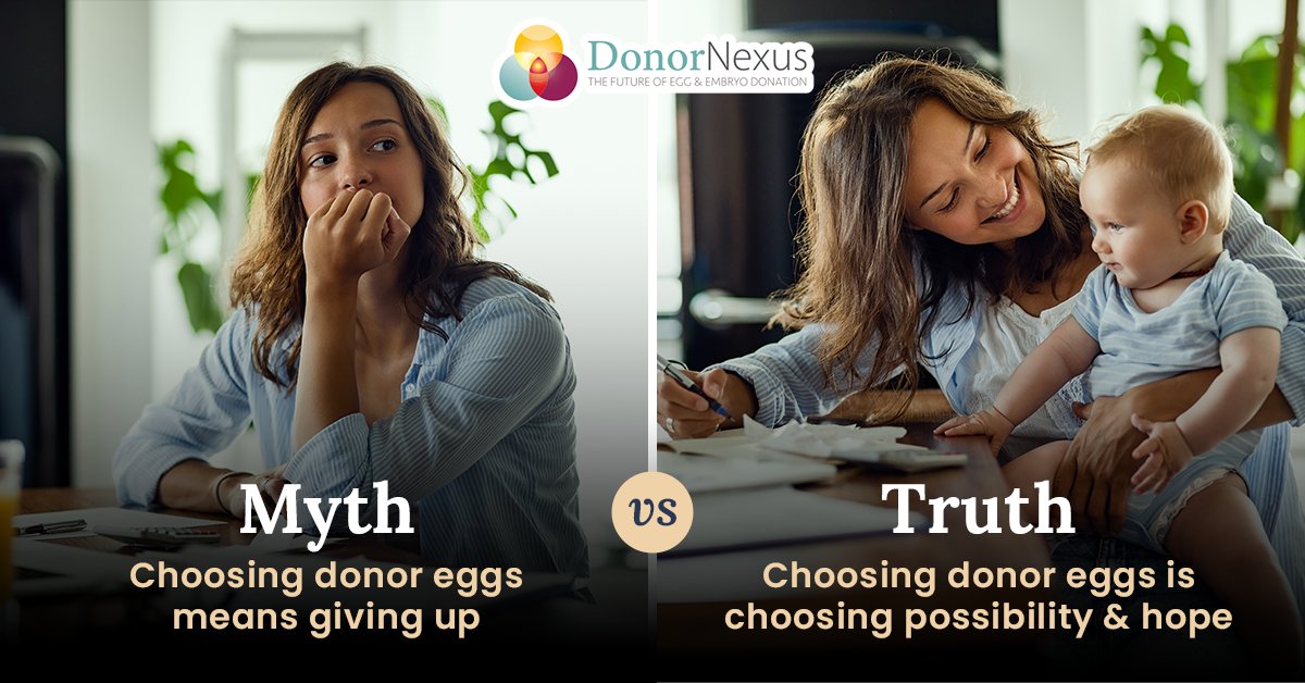 Donor egg IVF isn't about letting go, but about leaning into what’s possible. 🌱 For many families, choosing donor eggs means choosing hope, intention, and a way forward 🤍✨

#DonorEggIVF #FamilyBuilding #Hope
