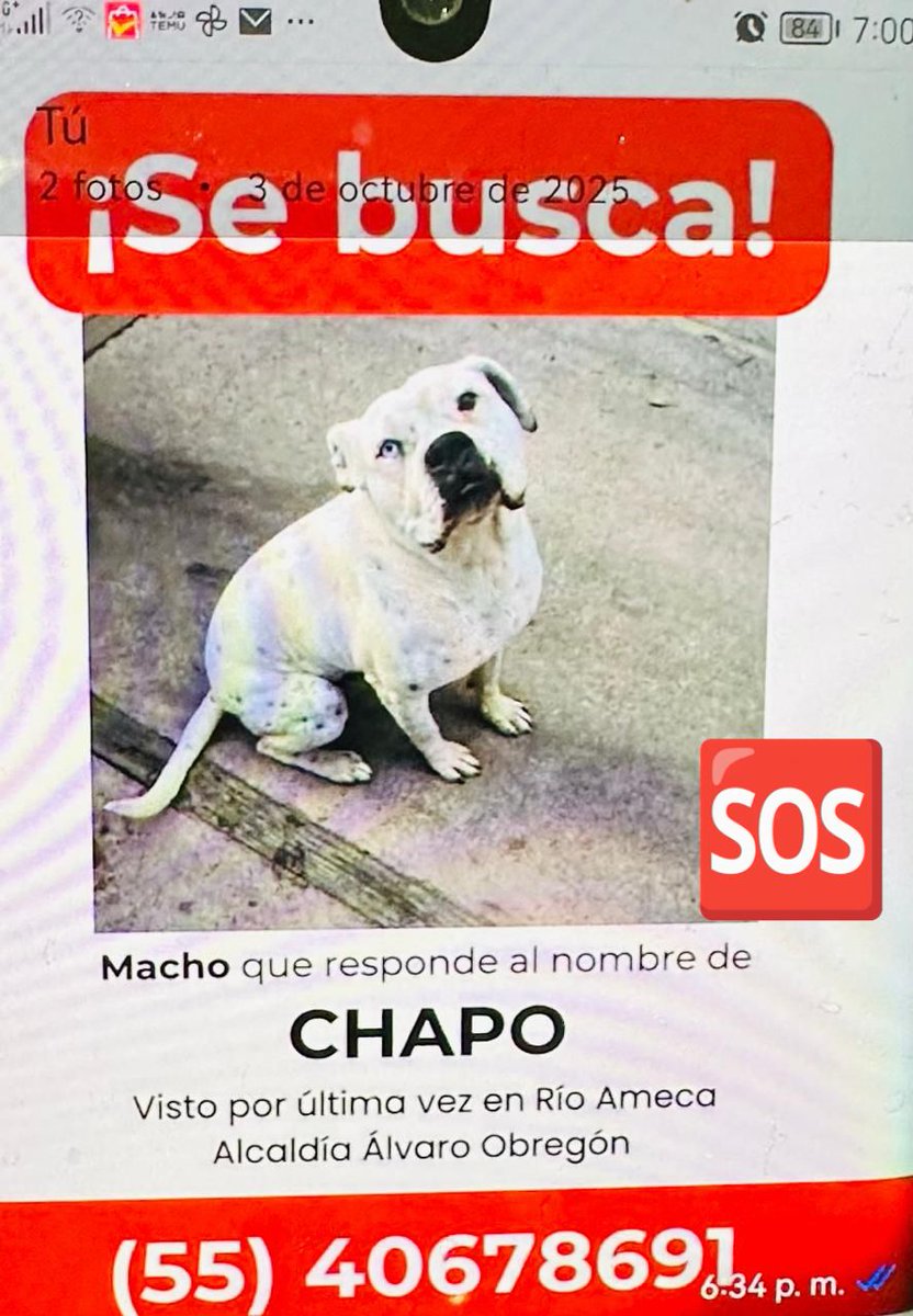 CHAPO" se perdió, lo ayudamos?