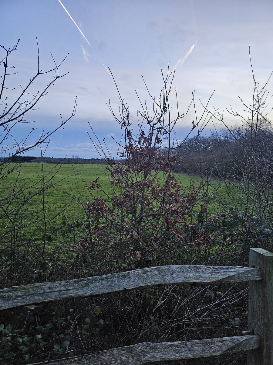 16.45 and still bright... Spring, is that you?