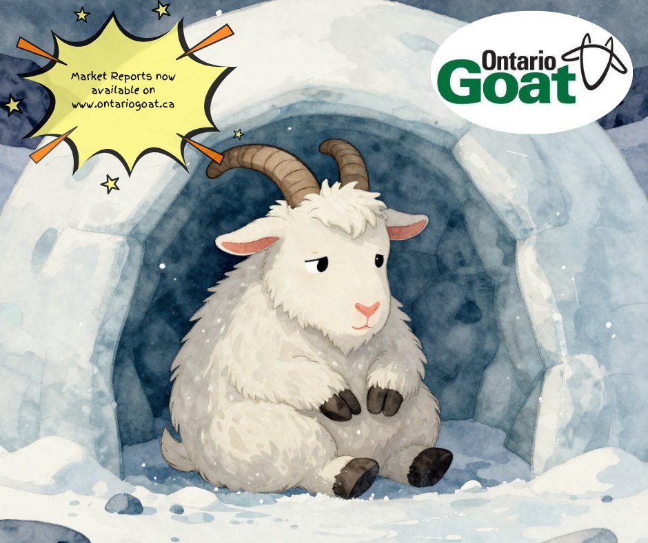 #alymersalesbarn #embrunsalesbarn #brusselssalesbarn #kawarthalakessalesbarn #OSI #olex#Gaylea #ODGC #liquidfeedsinc #ukal #wallensteinfeed&amp;supplyltd #greenoakdairyequipment#b-wfeed&amp;supply #newlifemills #midwestcoop #CFFO#CMGA #CNGF#OFA #trevorjones #johnkelly