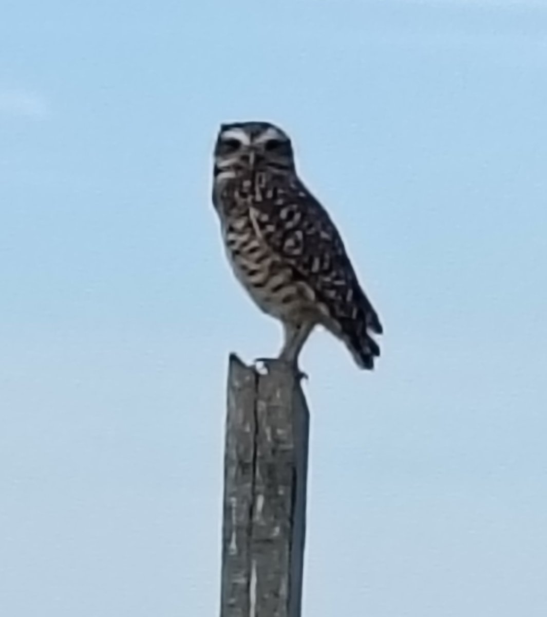 CREO QUE HOY RECIBO MI CARTA 💌