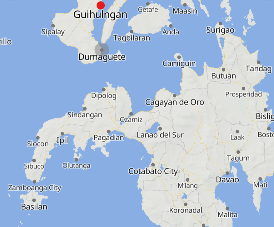TracTerrorism's tweet image. Two New People’s Army (#NPA) Rebels Killed in Clashes with Government Troops in #Guihulngan, #NegrosOriental, #Philippines 
trackingterrorism.org/chatter/npa-cl…