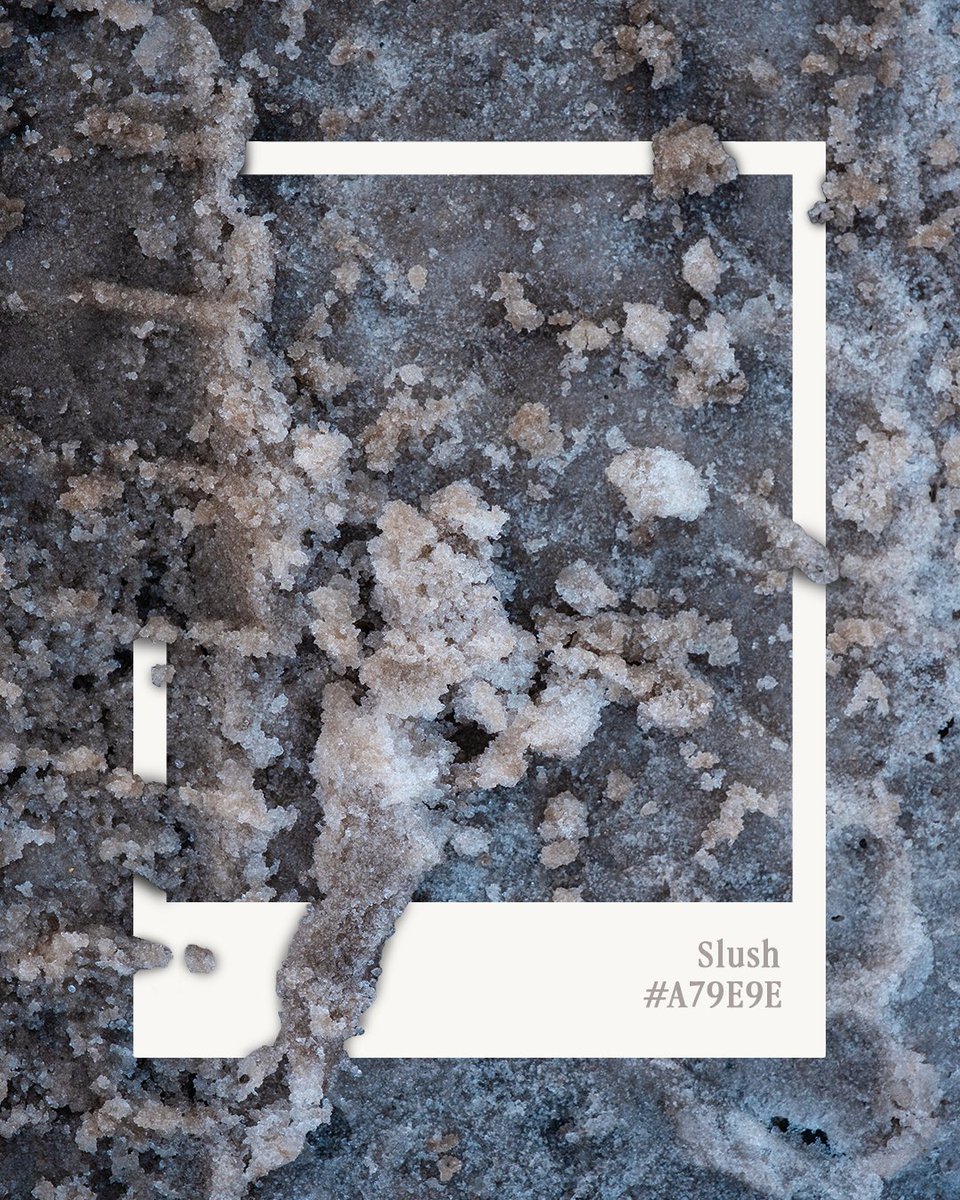 BRKLNDcreative's tweet photo. After careful consideration, January's color of the month is...Slush. We thought it was fitting. https://t.co/0UhiStMmoc