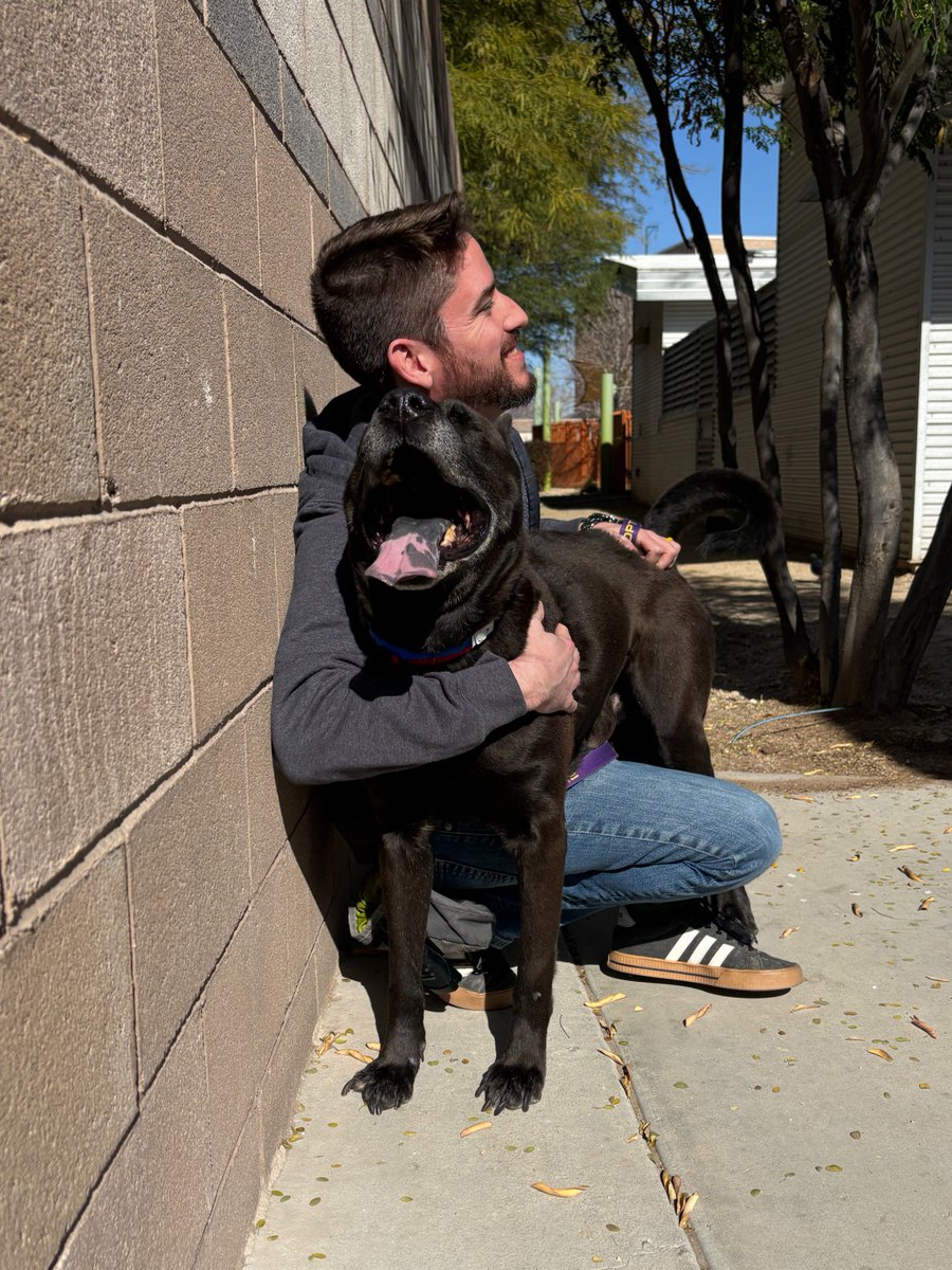 Senior dogs belong in homes, not shelters. On cozy beds, with humans who adore them.

12-year-old Zuzu is a sweet boy ready for his happily-ever-after.

He’s calm, affectionate, and has perfect leash manners. He's potty-trained and loves playing fetch.

ADOPT Zuzu! (ID# A1403679)