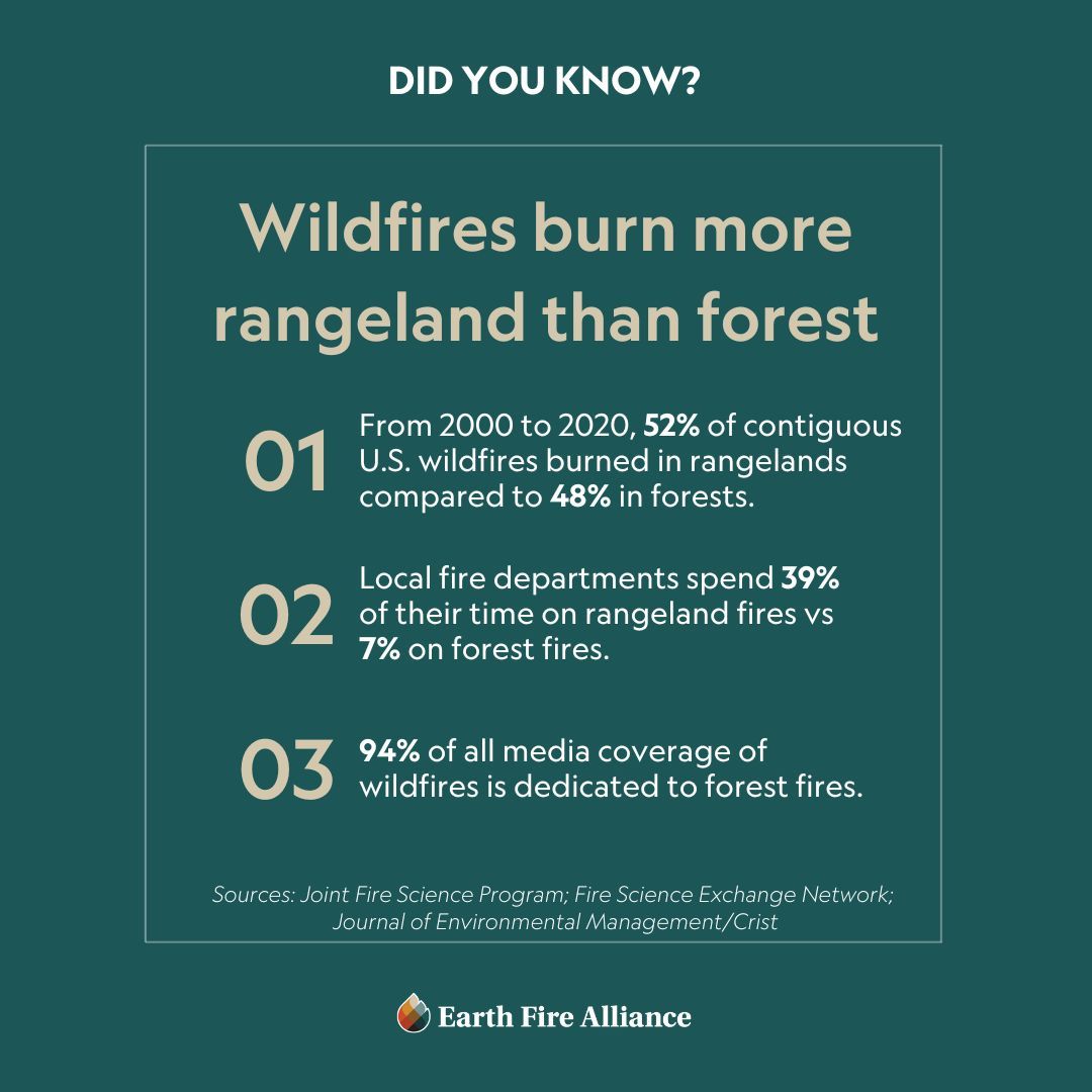 Earth Fire Alliance tweet media