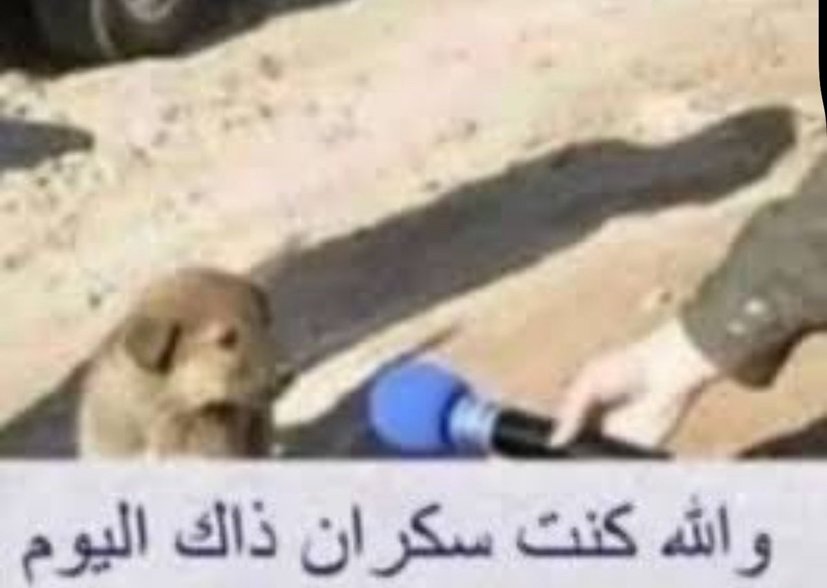 #بنزيما_هلالي