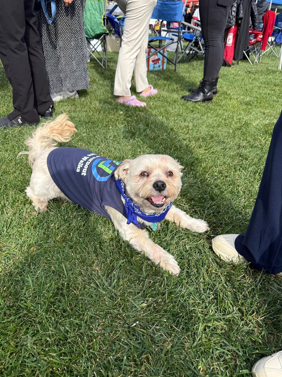 AFL-CIO ✊ tweet media