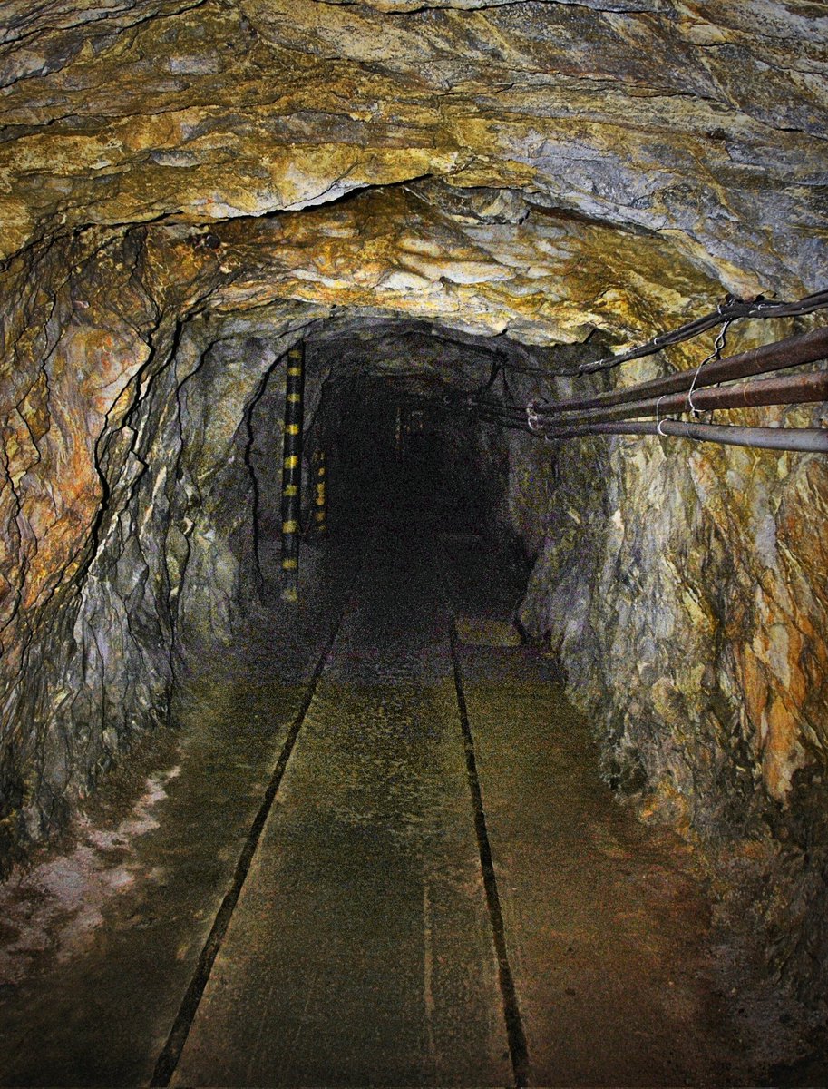 Stats Globe tweet media