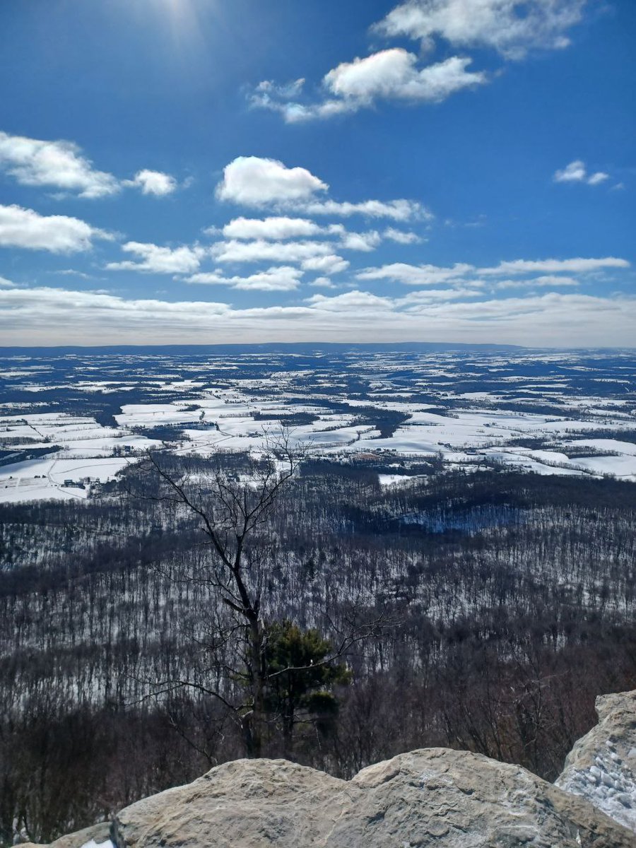 The Order of Aquilifers tweet media